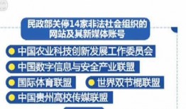青岛头条今天爆料新闻,独家揭秘青岛最新热点事件！