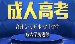 成年网站在线观看,在线观看的精彩世界概览