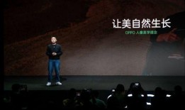 小李截拳道技能爆料视频,一招一式尽显武术精髓