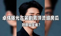 卓伟爆料娱乐圈男明星是谁,揭秘娱乐圈神秘男星身份之谜