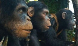 猿人崛起1在线观看,进化之路——探寻人类起源的惊心动魄之旅