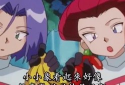 娱乐爆料小五郎视频,小五郎视频揭秘幕后故事