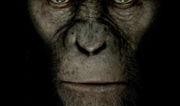 猿人崛起1在线观看,进化之路——探寻人类起源的惊心动魄之旅