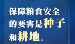 舟山网红爆料新闻报道视频,揭秘热门新闻报道背后的故事