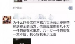 热门爆料视频最新,最新热点事件深度解析