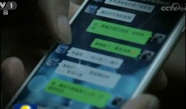 间谍公司爆料视频大全,惊心动魄的视频大全全解析