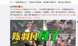 卓伟最新爆料曝光视频大全,独家视频大揭秘，娱乐圈风云再起