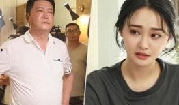 知情人爆料陈萌视频全集,背后真相与惊人内幕曝光