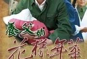 在线观看养父的花样年华,花样年华中的温情岁月
