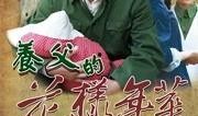 在线观看养父的花样年华,花样年华中的温情岁月