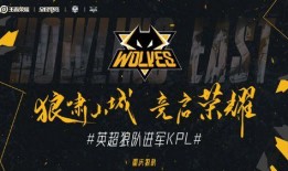重庆狼队爆料最新消息,独家爆料揭示球队最新动向