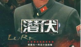 潜伏第8集在线观看,神秘人物浮出水面，悬念迭起