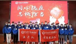 辽宁援沪爆料视频最新,逆行者的坚守与担当