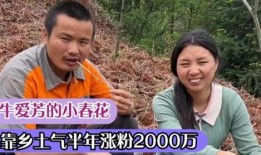 农村二姐前夫爆料视频,揭秘婚姻背后的惊人真相