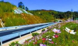 潮州枫溪爆料最新消息,揭秘神秘事件背后的真相