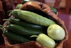 网红yvonne吃瓜,一场吃瓜盛宴背后的故事