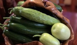 网红yvonne吃瓜,一场吃瓜盛宴背后的故事