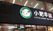 小肥羊爆料最新,揭秘餐饮行业新趋势与变革