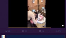 奇葩明星爆料微博视频