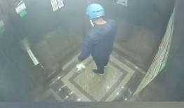 桥西外卖爆料视频大全集,揭秘美食背后的真相与争议