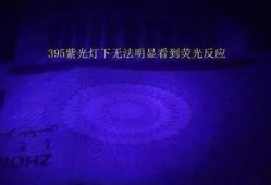 紫光灯网红爆料视频播放,揭秘网红幕后真相