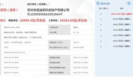 狮山最新爆料消息今天,揭秘神秘项目，未来城市发展新动向！