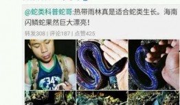 勇哥八卦爆料视频大全,视频大全中的明星八卦风云录