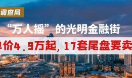 深圳光明金融街最新爆料,繁华升级，未来金融中心新地标揭晓