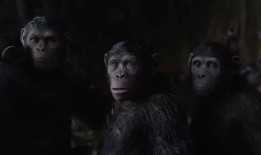 猿人崛起1在线观看,进化之路——探寻人类起源的惊心动魄之旅