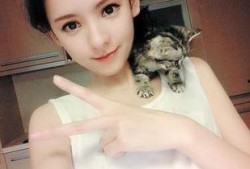 娱乐吃瓜酱女友什么系,背后的神秘系身份大起底