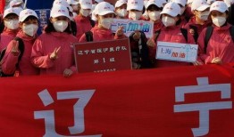 辽宁援沪爆料视频最新,逆行者的坚守与担当