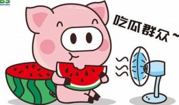 娱乐吃瓜酱素材,吃瓜酱带你领略明星幕后故事