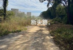 宁都田头最新爆料