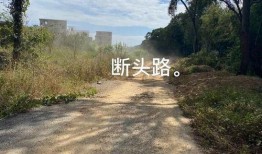 宁都田头最新爆料