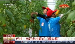 兰陵代村最新爆料新闻,揭秘乡村振兴背后的故事与挑战
