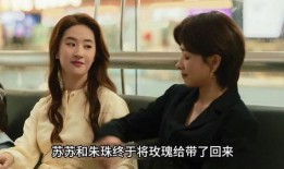 内娱姐弟恋爆料视频,揭秘视频背后的情感纠葛