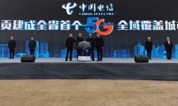 自贡新闻爆料曝光视频,视频揭露惊人真相，引发社会关注