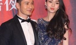 男星爆料妻子视频大全下载,妻子私密视频大全下载事件幕后真相