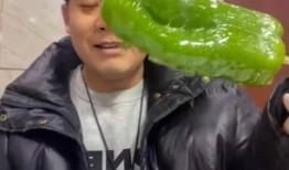 网红晨曦吃瓜事件,揭秘网红圈内的真实风波