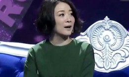 陈小艺爆料卢芳视频,真相与争议并存
