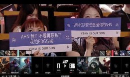 黑客爆料女王视频大全播放,女王视频大全播放背后的惊人真相