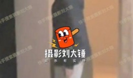 狗仔爆料翟子路视频在线观看,翟子路视频在线观看，精彩瞬间一网打尽