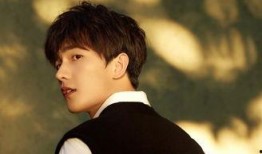 明星圈内爆料事件杨洋,真相与谣言的交织