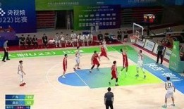 山大后卫爆料视频大全,揭秘篮球场上的激情瞬间与幕后故事
