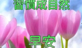 早安最新爆料图片卡通版