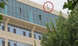 元氏爆料最新,最新热点事件深度解析