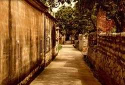 潮汕木屋爆料事件视频,揭秘当地传统民居现状