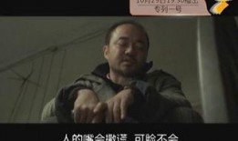 最高追击令在线观看,在线观看，揭秘极限追捕风暴