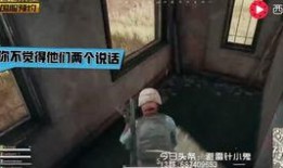 外国人爆料吃鸡视频下载,独家攻略大公开