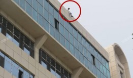 元氏爆料最新,最新热点事件深度解析